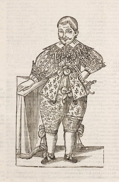 Nanus Illustrissimi D da Unbekannt