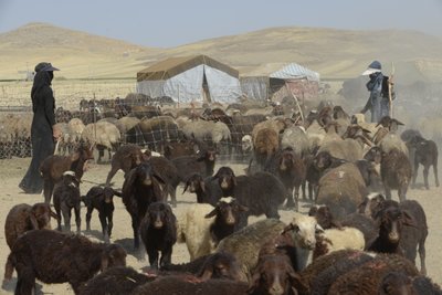 Tende nomadi tra Tamar e Ashkhaneh, Iran 2022 da Unbekannter Künstler