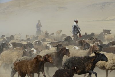 Tende nomadi tra Tamar e Ashkhaneh, Iran 2022 da Unbekannter Künstler