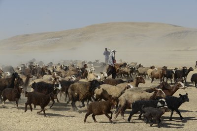 Tende nomadi tra Tamar e Ashkhaneh, Iran 2022 da Unbekannter Künstler