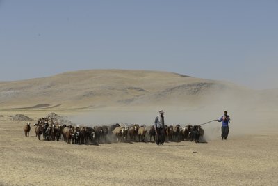Tende nomadi tra Tamar e Ashkhaneh, Iran 2022 da Unbekannter Künstler