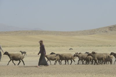 Tende nomadi tra Tamar e Ashkhaneh, Iran 2022 da Unbekannter Künstler