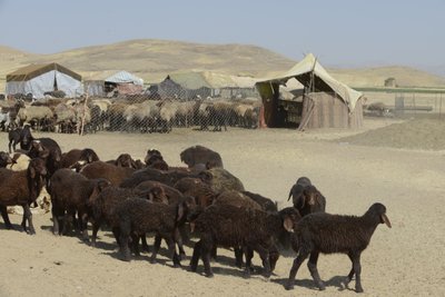Tende nomadi tra Tamar e Ashkhaneh, Iran 2022 da Unbekannter Künstler