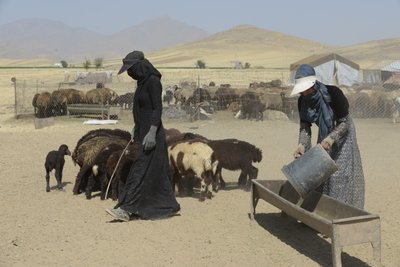 Tende nomadi tra Tamar e Ashkhaneh, Iran 2022 da Unbekannter Künstler