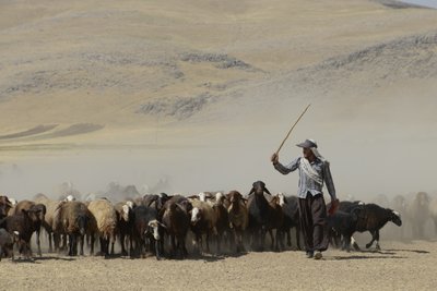 Tende nomadi tra Tamar e Ashkhaneh, Iran 2022 da Unbekannter Künstler
