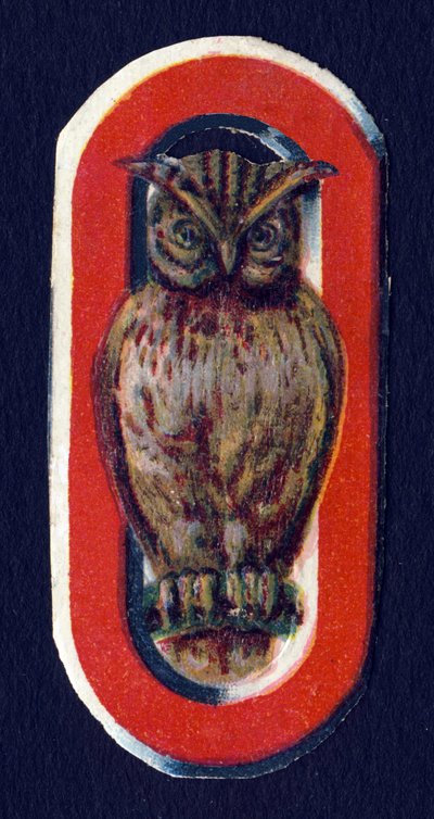 O come Gufo. Decoupage di scarabei sul tema degli animali. Incisione. Serie di 26 cromolitografie a cialda di origine inglese. Editore e illustratore sconosciuti. Fine XIX secolo. Dim: 5,5x3,5cm da Unbekannt