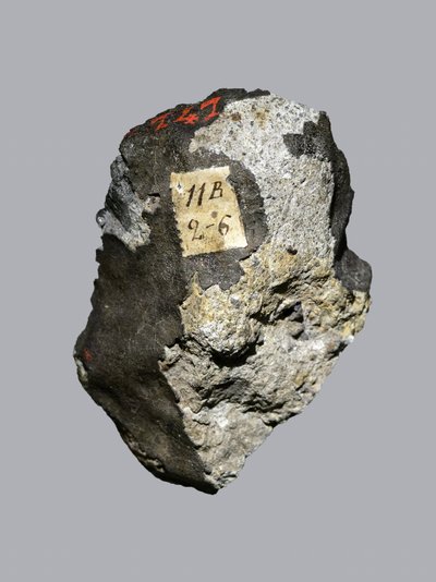 Condrite ordinaria (LL5). Caduta a Siena (Italia) nel 1794. Museo Nazionale di Storia Naturale, Parigi. da Unbekannt