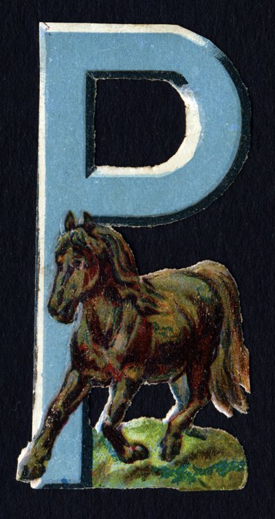 P come Pony. Decoupis di coleotteri sul tema degli animali. Incisione. Serie di 26 cromolitografie waffle di origine inglese. Editore e illustratore sconosciuti. Fine XIX secolo. da Unbekannt