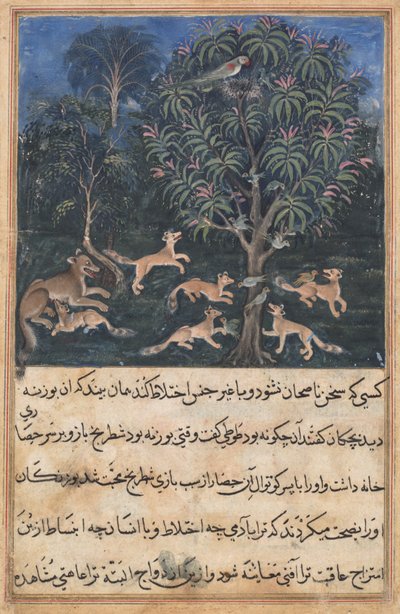 Pagina da 
