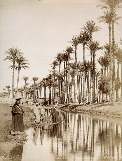 Palme lungo il fiume Nilo. In primo piano uomini in costume tradizionale da Unbekannter Künstler