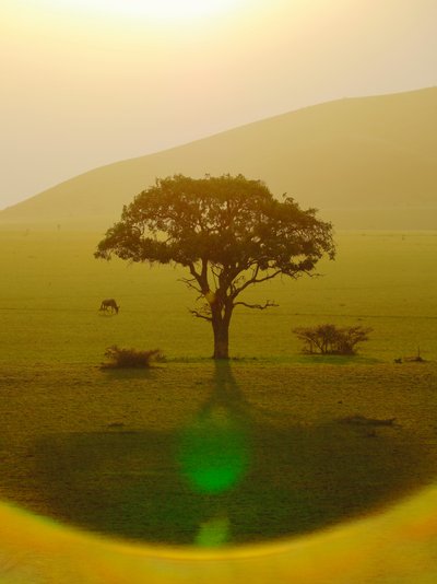 Paradiso dopo la pioggia, Chyulu Hills da Unbekannter Künstler