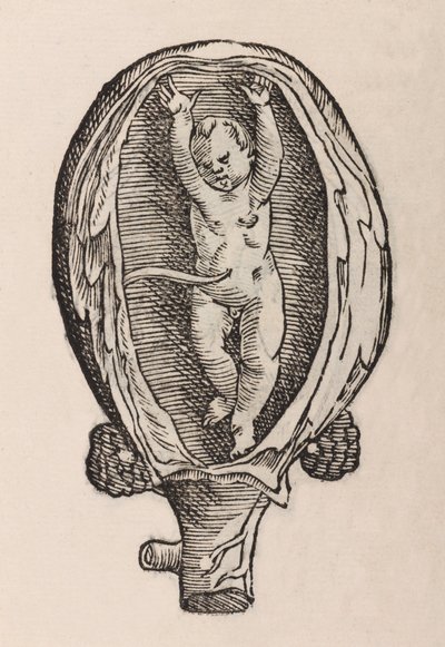 Partus non naturalis manibus funra canut porrectie da Unbekannt