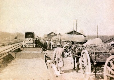 Fotografia da un album personale di un tenente di fanteria durante i primi mesi della Prima Guerra Mondiale da Unbekannt