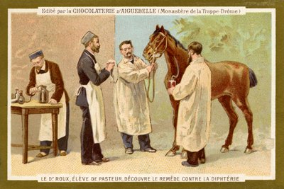 Pierre Paul Émile Roux da Unbekannter Künstler