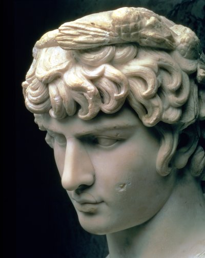 Testa ritratto di Antinoo con la corona di Dioniso, parte di una statua dalla villa dell