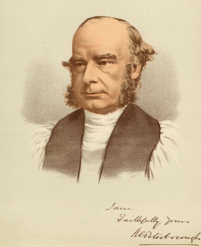 Ritratto di William Magee da Unbekannter Künstler