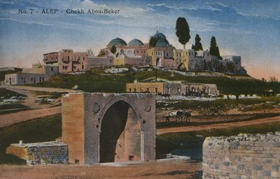 Cartolina raffigurante la Moschea Shaykh Abu Bakr ad Aleppo, Siria, c.1920 (fotolitografia a colori) da Unbekannt