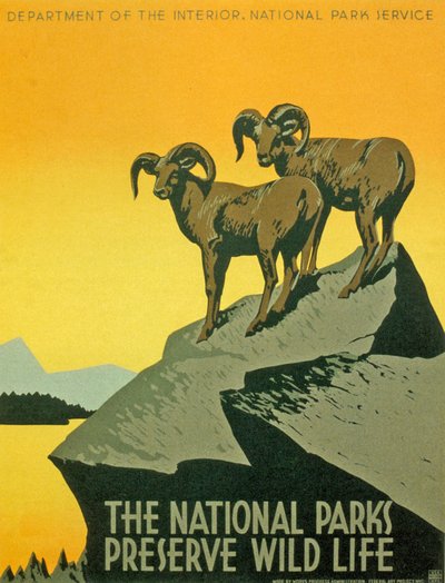 Poster che promuove la biodiversità dei parchi nazionali da Unbekannter Künstler