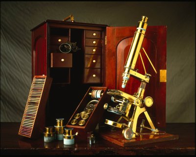 Microscopio in ottone di Powell e Lealand con tre gambe dotato di una scatola di legno con vari accessori da Unbekannt