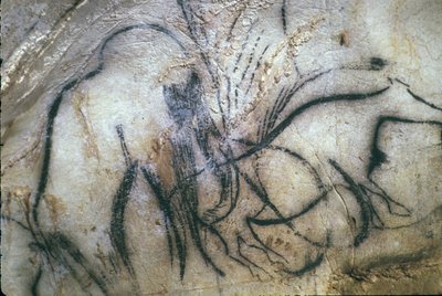 Grotta preistorica di Pech Merle/Cappella dei mammut/25.000 anni/Cabrerets/Lot/Midi Pirenei/Francia da Unbekannt