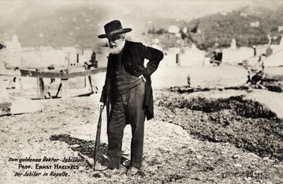 Professor Ernst Haeckel a Rapallo, Italia (foto in b/n) da Unbekannt