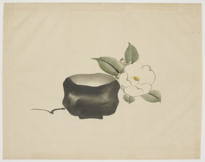 Ciotola da tè Raku e Camelia bianca da Unbekannt