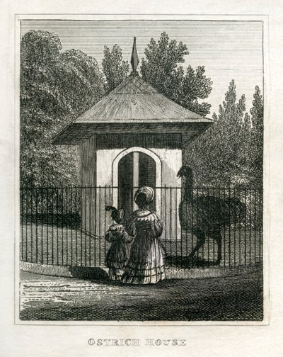 Zoo di Regent