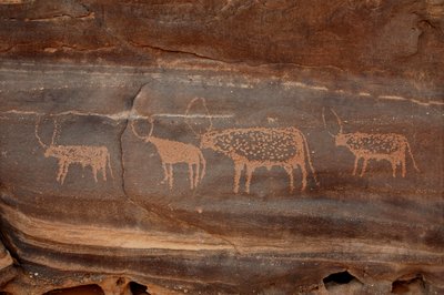 Arte rupestre, Preistoria: Incisione di quattro bovini nel massiccio di Uweinat, Sudan da Unbekannt