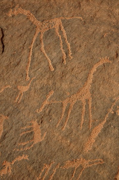Arte rupestre, Preistoria: Incisione di giraffe, struzzi, altri animali e personaggi nel massiccio di Uweinat, Sudan da Unbekannt