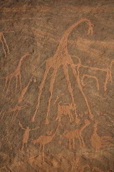 Arte rupestre, Preistoria: Incisione di giraffe, struzzi, pecore e personaggi nel massiccio di Uweinat, Sudan da Unbekannt