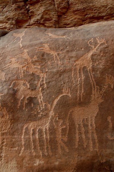 Arte rupestre, Preistoria: Incisione di giraffe, struzzi, pecore, cane e personaggio nel massiccio di Uweinat, Sudan (Karkur-Talh o Karkur Talh). Periodo da 8000 a 3000 anni a.C. da Unbekannt