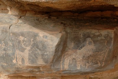 Arte rupestre, Preistoria: Incisione di tre bovini nel massiccio di Uweinat, Sudan da Unbekannt