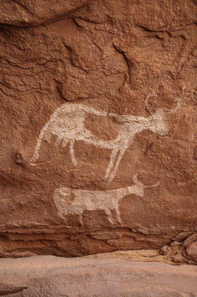 Arte rupestre, Preistoria: Pittura rupestre di due mucche con grandi corna in un rifugio ornato, nel massiccio di Uweinat, Sudan da Unbekannt