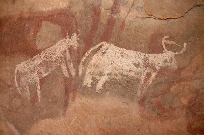 Arte rupestre, Preistoria: Pittura rupestre di bovini bianchi e bicolori in un rifugio ornato, nel massiccio di Uweinat, Sudan (Karkur-Talh o Karkur Talh). Periodo da 8000 a 3000 anni a.C. Fotografia da Unbekannt