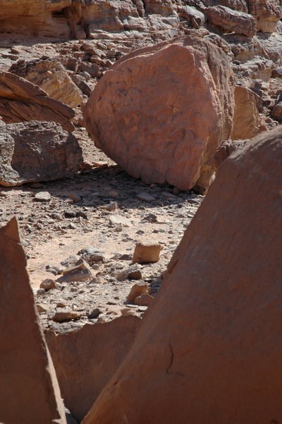 Arte rupestre, Preistoria: Roccia rotonda con incisioni di giraffe e struzzi nel massiccio di Uweinat, Sudan da Unbekannt