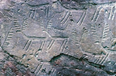 Incisioni rupestri nel Parco Archeologico Nazionale dei Massi di Cemmo, Val Camonica (Lista del Patrimonio Mondiale Unesco) da William M. Timlin