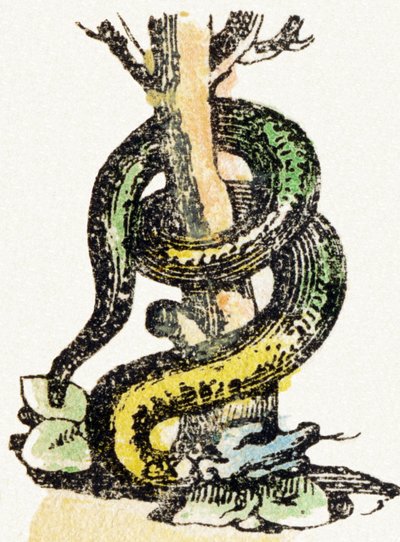 S - Serpente - Alfabeto dell