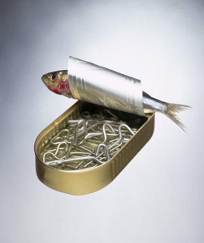 Inversione della Scatola di Sardine da Unbekannter Künstler