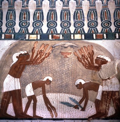 Scena di mietitura del grano, tomba di Nakht, stanza della tomba dei nobili. Valle dei Nobili. Sito di Luxor, Egitto da Leopold Blonder