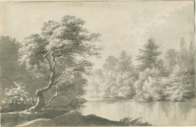 Shenstone - Piscina vicino a Little Aston: disegno a seppia, nd [XIX sec.] da Unbekannt