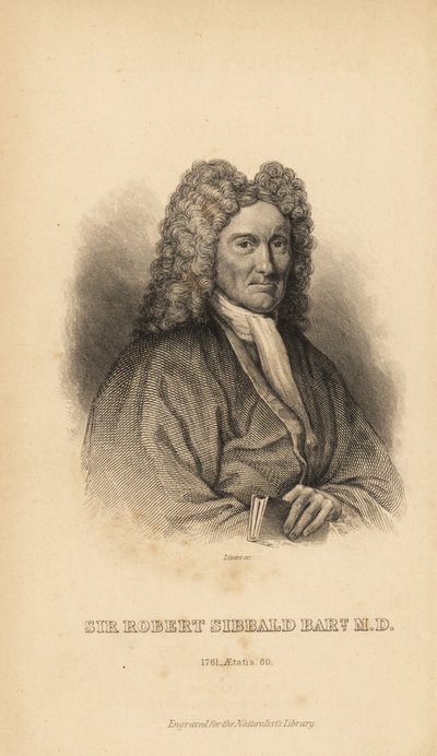 Sir Robert Sibbald, naturalista e antiquario scozzese da Unbekannt
