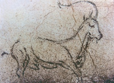 Capra spagnola, periodo paleolitico, c.40000-12000 a.C. (pittura rupestre) da Unbekannter Künstler