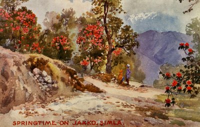 Primavera su Jahko, Simla, India da Unbekannter Künstler