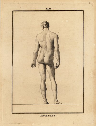 Statua di Oreste, nudo, figlio di Agamennone nella mitologia greca da Unbekannt