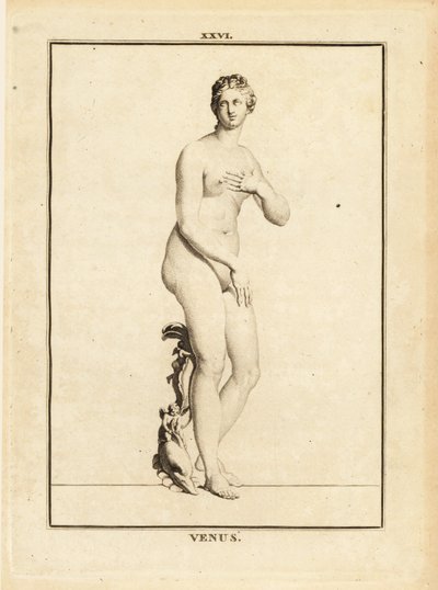 Statua di Venere, dea romana dell