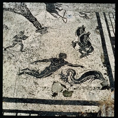 Nuotare con i delfini, dal Frigidarium delle Terme di Ostia, II secolo d.C. (mosaico) da Unknown