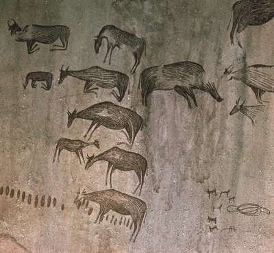Tanzania, Regione di Dodoma, disegni rupestri da Nicolas d