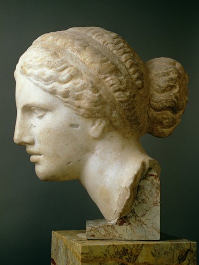 La Testa di Kauffmann, romana da Unbekannt