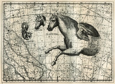 La costellazione di Pegaso, disegnata come la metà anteriore di un cavallo con un paio di ali, il Cavallino, una testa di cavallo e il Delfino. Incisione da "Les étoiles et les autres curiosités du ciel" di Camille Flammarion da Unbekannt