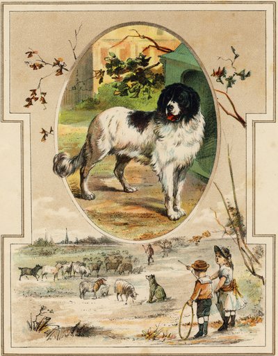 Il cane. Incisione in "Mon premier Grand Alphabet". Edizione Bernardin-Bechet, Parigi, circa 1890. Illustrazioni di A. des Lilleuls. Nessuna pagina, 46 pagine. Dim: 31x22cm da Unbekannt